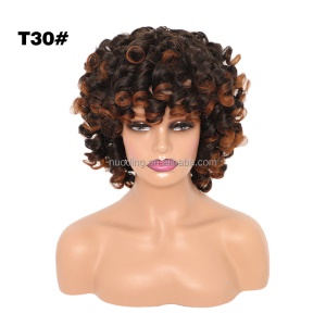 Perruque synthétique 13 pouces  aux cheveux bouclés