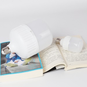 Ampoule LED lot de 2pcs E27 plastique économie d'énergie 30W/40W