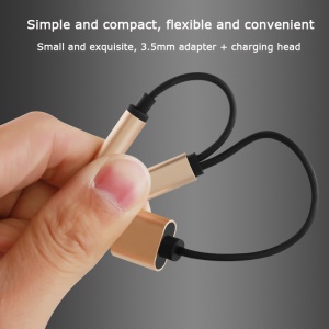 Connecteur audio iPhone 2 en 1 type C 135mm