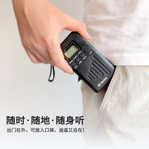 Wodeke Radio portable avec réveil Affichage numérique