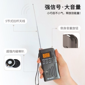 Wodeke Radio portable avec réveil Affichage numérique