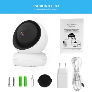 Mini Caméra wifi intelligente sans fil  HD 2 mégapixels
