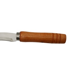 Couteau à ananas en acier inoxydable avec manche en bois