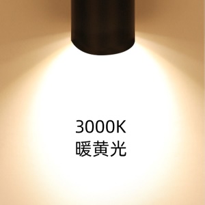 Lampe de rail LED COB projecteur 20W/30W