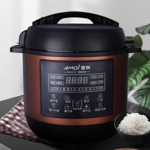 Autocuiseur intelligent multifonctionnel 5L