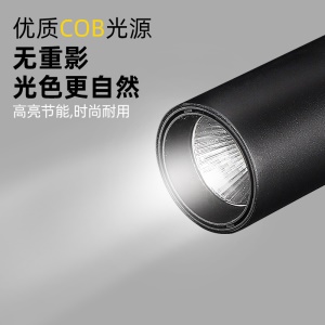 Lampe de rail LED COB projecteur 20W/30W