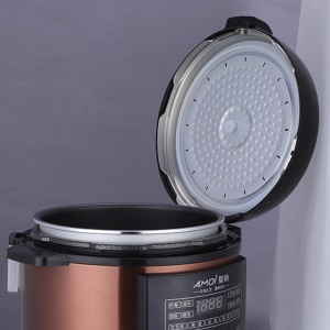 Autocuiseur intelligent multifonctionnel 5L