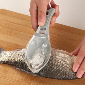 Raboteuse manuelle avec  pour enlever les écailles de poisson