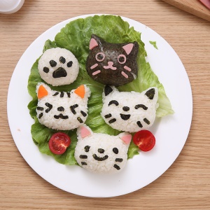 Moule de boule de riz pour enfants forme de dessin animé