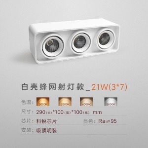 Trois Spots lumière tricolore 21W/30W tête amovible