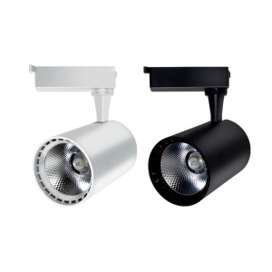 Projecteur de voie à DEL 20W/30W