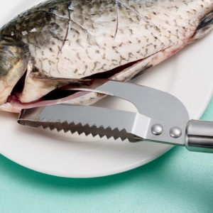 Couteau en acier inoxydable pour ouvrir le ventre/tacher/enlever les écailles de poisson