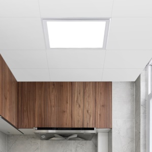Plafonnier LED pour la cuisine salle de bain étanche et résistant à l'huile