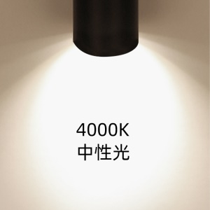 Lampe de rail LED COB projecteur 20W/30W