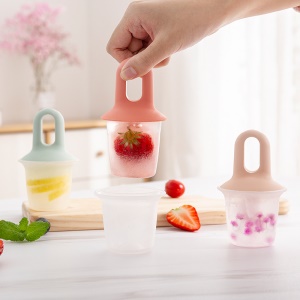 Moule à crème glacée en plastique