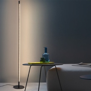Lampadaire à lumière LED avec luminosité réglable