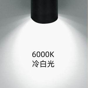 Lampe de rail LED COB projecteur 20W/30W