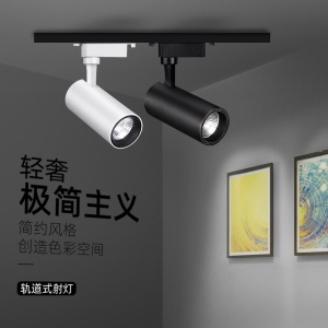 Lampe de rail LED COB projecteur 20W/30W