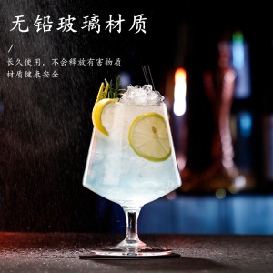 Verre à vin bas pied en cristal 480 mL