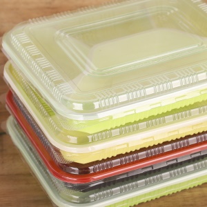 Boîte à repas en plastique jetable épaissie quatre compartiments 22 * 18cm