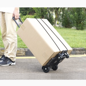 Chariot à main pliable à 2 roues avec cordes élastiques porteur 40kg