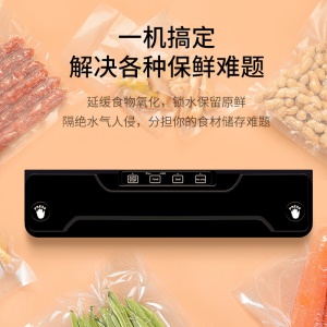 Machine de scellage sous vide automatique portable 370 * 89 * 52mm