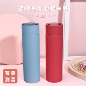 Thermos à affichage intelligent de la température en Acier inoxydable 316 étanche 500ml