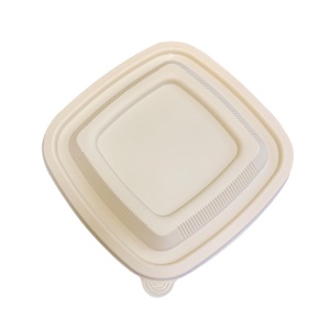 Boîte alimentaire jetable en plastique PLA boîte carrée
