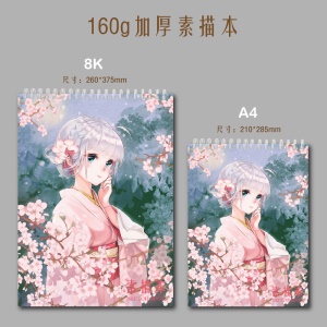 Carnet de dessins A4/8K 60pages