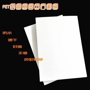 Papier photo adhésif en PET blanc brillant A4
