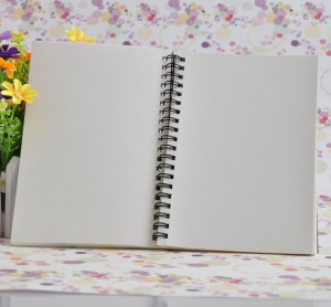 Carnet de croquis vélin 100 pages