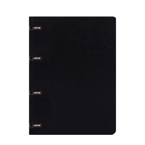 Cahier à feuilles mobiles B5 avec couverture en cuir PU épaissi 100 pages