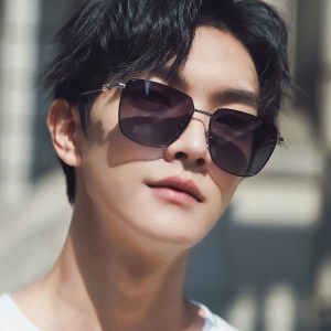 Lunettes de soleil polarisées pour hommes Monture en alliage résistant aux UV