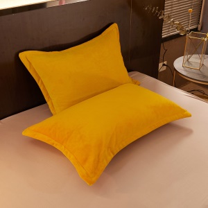 Ensemble de 2 pièces de taie d'oreiller en flanelle avec fermeture éclair 48 * 74cm