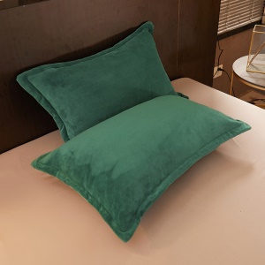 Ensemble de 2 pièces de taie d'oreiller en flanelle avec fermeture éclair 48 * 74cm