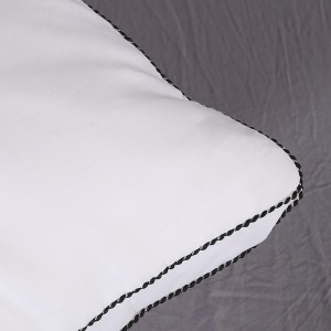 Oreiller en coton plume de soie remplie de haute élasticité pelucheuse 48 * 74cm