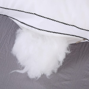 Oreiller en coton plume de soie remplie de haute élasticité pelucheuse 48 * 74cm