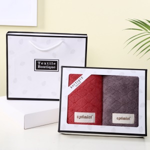 Serviettes en velours de corail ensemble de deux pièces doux et absorbant l'eau