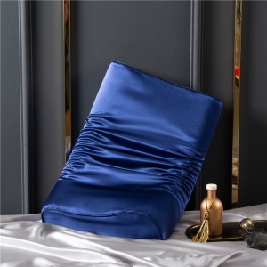 Taie d'oreiller double face en latex de soie 100% soie de mûrier