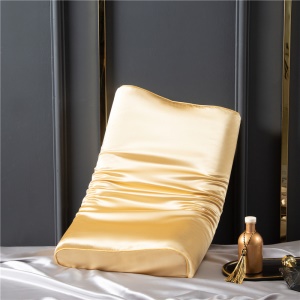 Taie d'oreiller double face en latex de soie 100% soie de mûrier