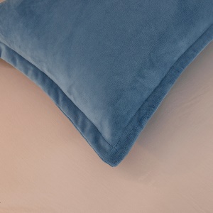 Ensemble de 2 pièces de taie d'oreiller en flanelle avec fermeture éclair 48 * 74cm