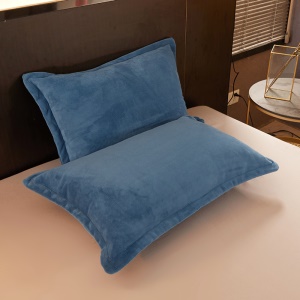 Ensemble de 2 pièces de taie d'oreiller en flanelle avec fermeture éclair 48 * 74cm
