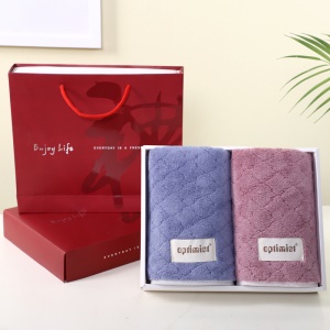 Serviettes en velours de corail ensemble de deux pièces doux et absorbant l'eau