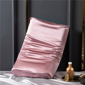 Taie d'oreiller double face en latex de soie 100% soie de mûrier