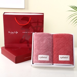 Serviettes en velours de corail ensemble de deux pièces doux et absorbant l'eau