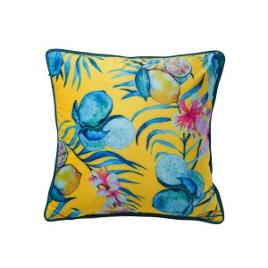 Housse de coussin d'impression numérique en peluche
