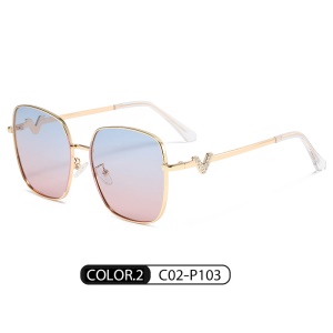 Lunettes de soleil polarisées pour femmes avec grande cadre