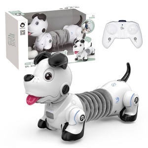 Jouet chien de compagnie Télécommande  sans fil