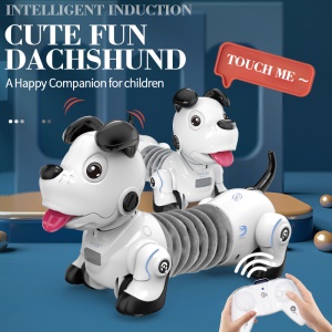 Jouet chien de compagnie Télécommande  sans fil