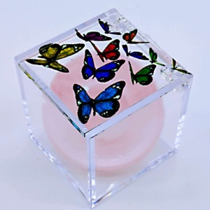 Boîte à faux cils transparents en forme de cube avec motif papillon 25mm